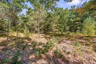 682 S Locust Ave, White Cloud, MI 49349 - Photo 63