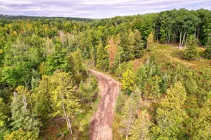 131 N Mud Lake Rd, West Branch, MI 48661 - Photo 29