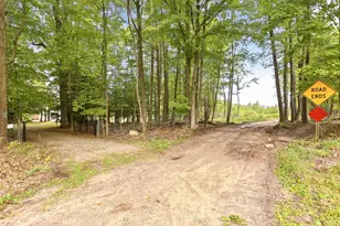 131 N Mud Lake Rd, West Branch, MI 48661 - Photo 25