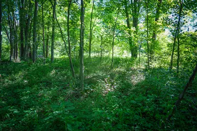 V/L 12A S 168th Avenue, Hesperia, MI 49421 - Photo 11