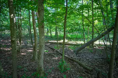 V/L 12A S 168th Avenue, Hesperia, MI 49421 - Photo 5