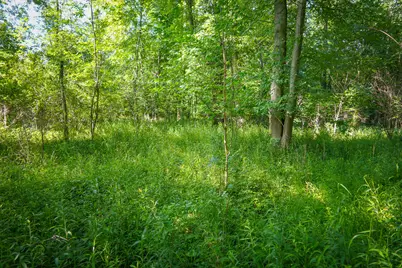 V/L 12A S 168th Avenue, Hesperia, MI 49421 - Photo 1