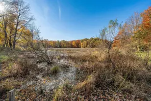 60070 Pemberton Rd, Vandalia, MI 49095 - Photo 59