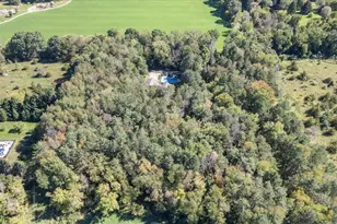 4211 S Lyons Rd, Lyons, MI 48851 - Photo 17