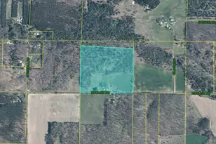 19360 McClish Rd, Copemish, MI 49625 - Photo 43
