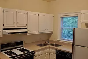 206 S Huron St, Ypsilanti, MI 48197 - Photo 9