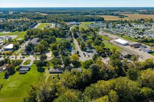 461 E Monroe St, Dundee, MI 48131 - Photo 49
