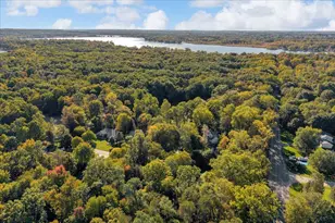 11347 Tall Shadows Ct, Pinckney, MI 48169 - Photo 39