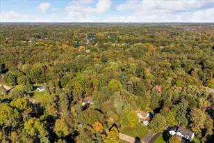 11347 Tall Shadows Ct, Pinckney, MI 48169 - Photo 41