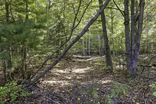 12480 144th Ave, Grand Haven, MI 49417 - Photo 39