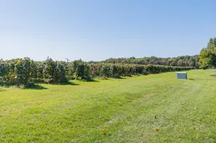8479 Kaleb Kove St, Kalamazoo, MI 49009 - Photo 43
