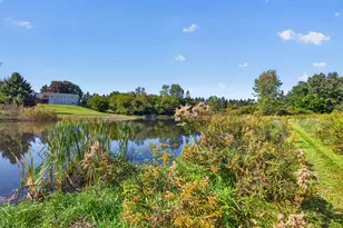9720 Queens Dr, Manchester, MI 48158 - Photo 87