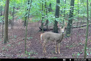 6935 River Valley Dr SE, Alto, MI 49302 - Photo 75