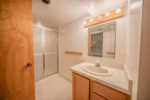 1205 Wynnstone Dr, Ann Arbor, MI 48105 - Photo 39