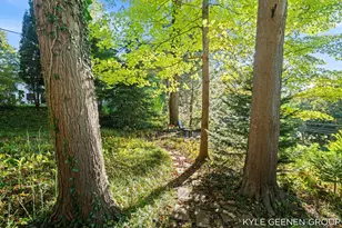 414 Spear St, Saugatuck, MI 49453 - Photo 43