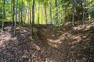 4257 Schnieder Rd, Manistee, MI 49660 - Photo 53