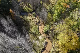 4257 Schnieder Rd, Manistee, MI 49660 - Photo 37