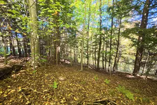 4257 Schnieder Rd, Manistee, MI 49660 - Photo 47