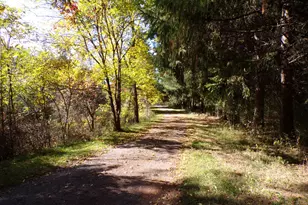3912 English Rd, Kingston, MI 48741 - Photo 13