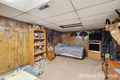 85 Holiday Drive, Ionia, MI 48846 - Photo 25