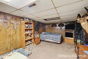 85 Holiday Dr, Ionia, MI 48846 - Photo 25