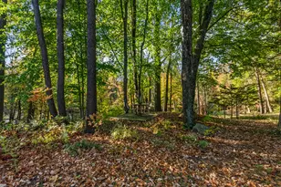 6388 Sycamore Bluff, Coloma, MI 49038 - Photo 93