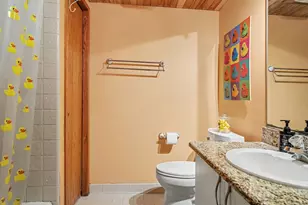 3575 Stanton Ct, Ann Arbor, MI 48105 - Photo 47