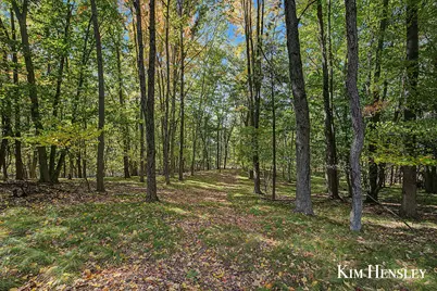 3948 N Holland Road, Stanton, MI 48888 - Photo 59
