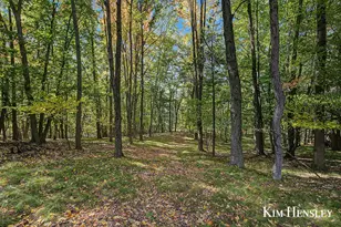3948 N Holland Rd, Stanton, MI 48888 - Photo 59