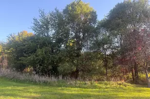 Lansing Ave, Jackson, MI 49202 - Photo 1
