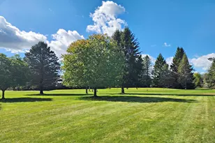 7379 Ryans Run Rd, Canadian Lakes, MI 49346 - Photo 15