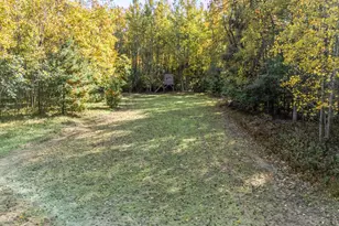 22767 15th Ave, Sears, MI 49679 - Photo 29