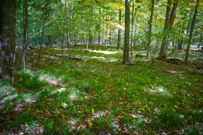 N Lake Road, Lakeview, MI 48850 - Photo 15