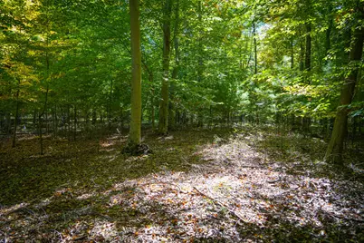 N Lake Road, Lakeview, MI 48850 - Photo 19