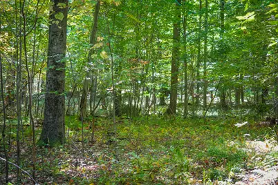 N Lake Road, Lakeview, MI 48850 - Photo 13