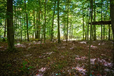 N Lake Road, Lakeview, MI 48850 - Photo 47