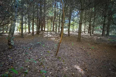 N Lake Road, Lakeview, MI 48850 - Photo 27