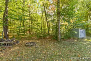 9642 Hummingbird Ct, Howard City, MI 49329 - Photo 43