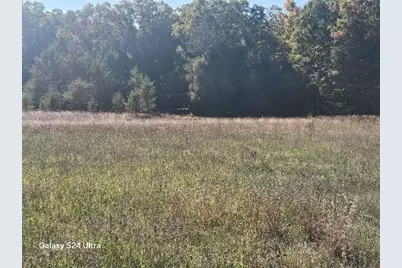 00 N 11 Mile Road, Irons, MI 49644 - Photo 3