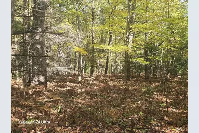 00 N 11 Mile Road, Irons, MI 49644 - Photo 17