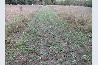 Vl North Branch Road, North Branch, MI 48461 - Photo 35