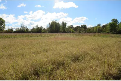Vl North Branch Road, North Branch, MI 48461 - Photo 3