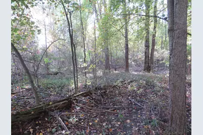 Vl North Branch Road, North Branch, MI 48461 - Photo 29