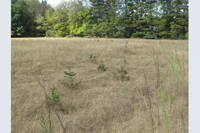 Vl North Branch Road, North Branch, MI 48461 - Photo 15
