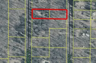 4401 Gregory Rd, Wellston, MI 49689 - Photo 45