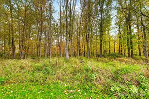 6400 E Brown Rd, Lake Odessa, MI 48849 - Photo 65