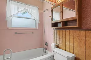509 Wilkinson St, Chelsea, MI 48118 - Photo 19