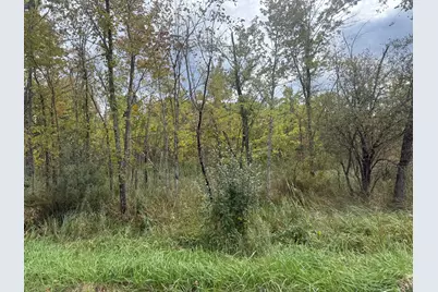Bangham Road, Albion, MI 49224 - Photo 3