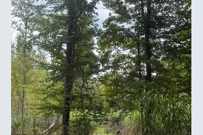Bangham Road, Albion, MI 49224 - Photo 7