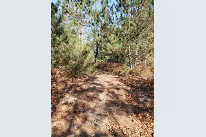 11326 Berg Road, Kaleva, MI 49645 - Photo 35